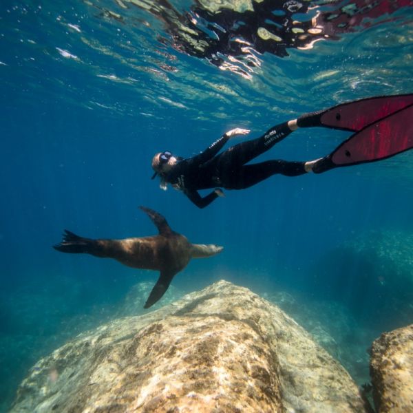 Palma Diving Freediving 04