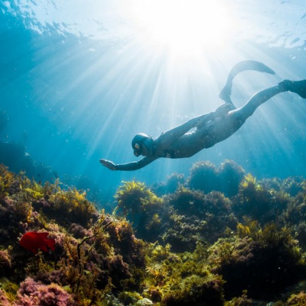 Palma Diving Freediving 06